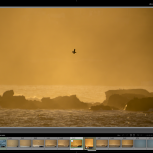 Adobe Lightroom Workshop