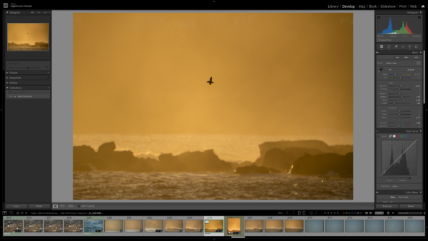 Adobe Lightroom Workshop